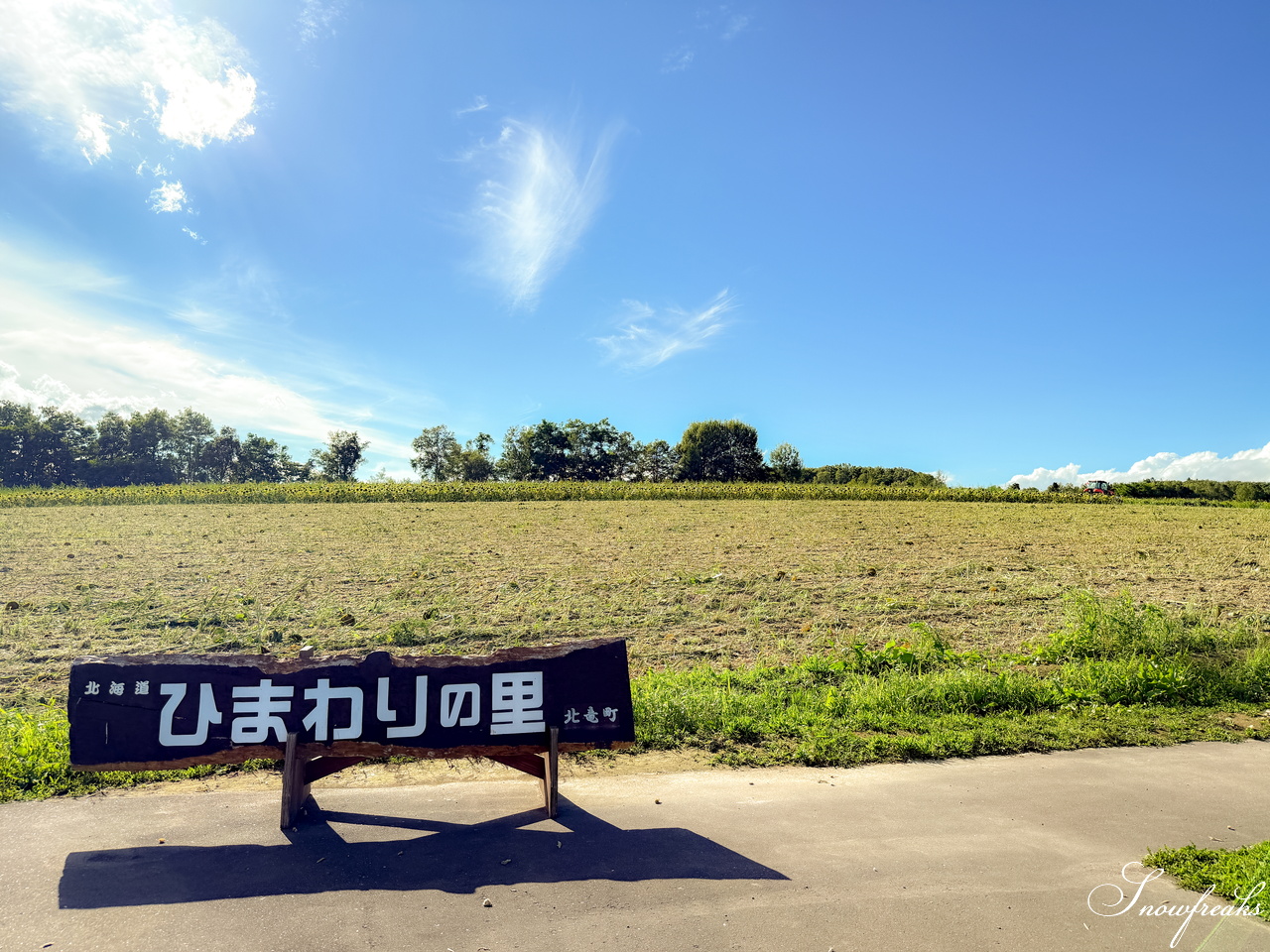 見頃は過ぎていたけれど。。。北海道北竜町『日本一のひまわりの里』を電動アシスト自転車『ADO Air Carbon』で爽快サイクリング(^^)/